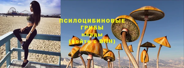 apvp Алзамай